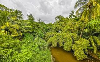 grüne schöne tropische fluss-süßwasserlagune in puerto escondido mexiko. foto