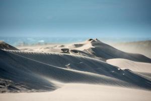 Wüstenstrand Sanddünen an windigen Tagen foto