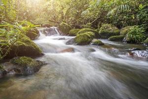 Wasserfall in einem grünen Wald foto