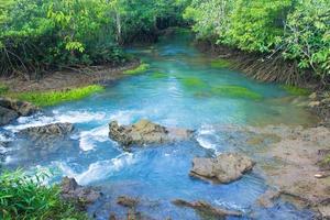 Fluss und Wald mit bewölktem blauem Himmel foto