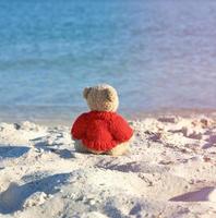 brauner teddybär in einem roten pullover, der am sandstrand sitzt und in die ferne blickt foto