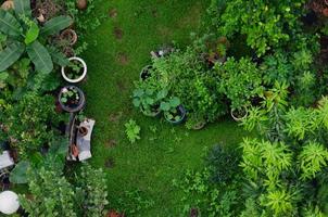 Draufsicht auf Garten foto