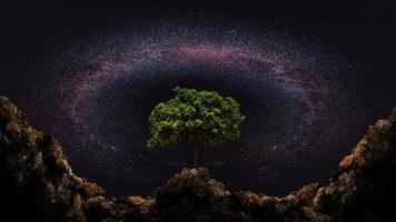 Baum und Milchstraße