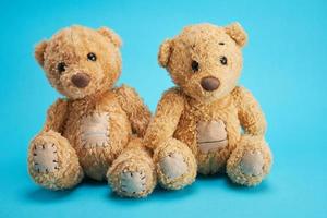 zwei braune Teddybären sitzen foto