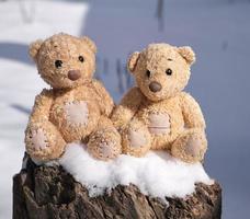 Auf einem Baumstumpf sitzen zwei kleine Teddybären foto