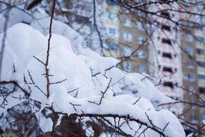 frisch verschneite Stadt foto