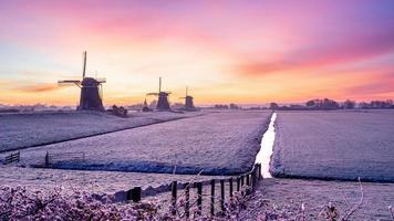 Die drei Windmühlen bei Stompwijk in den Niederlanden. an einem sehr kalten Morgen, aber mit einem wunderschönen Sonnenaufgang. foto