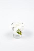 Blume in einem Glas auf weißem Hintergrund