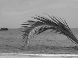 die Insel Korsika foto