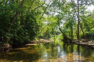 Fluss und Wald in Thailand