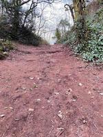 ein blick auf die landschaft von cheshire in peckforton foto