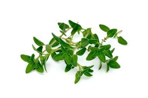 frischer Thymian oder Zitronenthymianblatt isoliert auf weißem Hintergrund, grünes Blattmuster foto