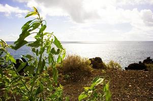 Meereslandschaft im Sommer foto