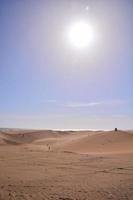 Sanddünen in der Wüste foto