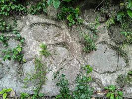 alte und abgenutzte Wandstruktur für den Hintergrund geeignet foto