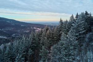 luftaufnahme des waldbedeckten wirtschnees foto