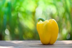 frische gelbe süße paprika auf holz- und naturgrünem hintergrund foto