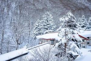 Starker Schneefall im Dorf Heike No Sato in der Präfektur Tochigi, Stadt Nikko, Japan foto