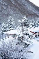 vertikales Bild von starkem Schneefall im Dorf Heike No Sato in der Präfektur Tochigi, Stadt Nikko, Japan foto