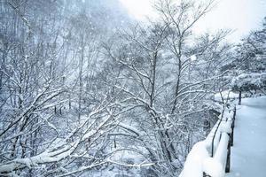 Starker Schneefall im Dorf Heike No Sato in der Präfektur Tochigi, Stadt Nikko, Japan foto