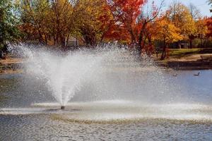 Sommergartenpark mit Seeenten. Brunnen plätschert. foto