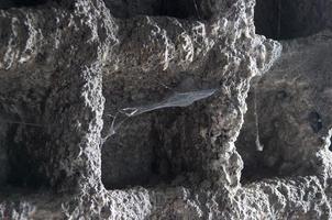 Nahaufnahme von Spinnennetz in einer Höhle foto