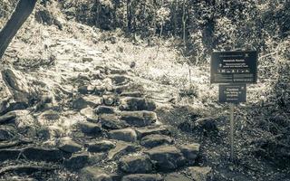 steiniger newlands-schlucht-wanderweg im tablemoutain-nationalpark. foto