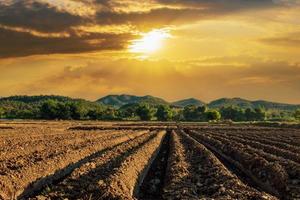 Bereiten Sie die Bepflanzung vor. Die Umstellung von Gemüsekulturen der Landwirte mit Sonnenstrahlen foto