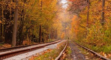 Herbstwald, zwischen dem eine seltsame Straßenbahn fährt foto