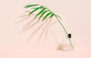 durchsichtig Glas Vase und Grün Palme Blatt auf ein Beige Hintergrund. foto