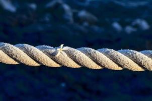 Seil auf dunkel Hintergrund foto