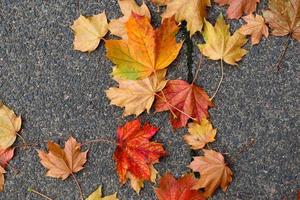 schöne Herbstlaubblätter in goldenen und roten Farbtönen - Herbsthintergrund. foto