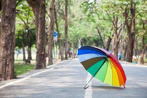 mehrfarbiger Regenschirm im Park foto