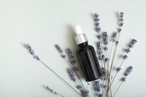 Kosmetikflasche mit Pipette auf Draufsicht der Holzscheibe, flach auf farbigem Hintergrund mit Lavendelblüten. Naturkosmetik-Konzept foto