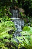 Wasserfall im Park foto