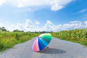 mehrfarbiger Regenschirm auf der Straße foto