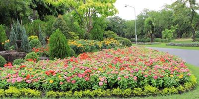 Blumenbeet in der Nähe der Straße foto