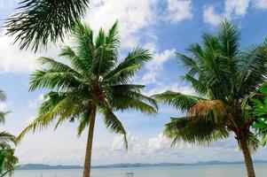 Sommerstrand in Thailand foto