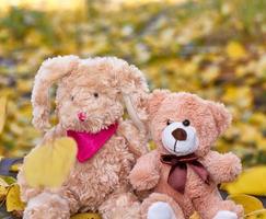 Hase mit lange Ohren und ein Teddy Bär sind Sitzung im das Mitte von trocken Gelb Blätter foto