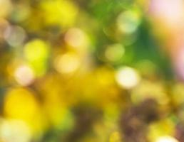 abstrakt verschwommen Hintergrund von Gelb Blumen foto