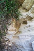 Avakas-Schlucht. schöne schlucht in zypern. mit Efeu bewachsene Wand. foto