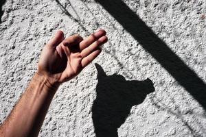 Hand auf das Weiß Mauer gestikulieren mit Schatten foto