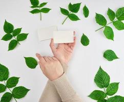 weiblich Hand halten ein Stapel von Weiß leeren Papier Geschäft Karten und frisch Grün Blätter foto