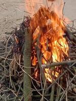 Lagerfeuer im das Winter Wald Winter Camping foto