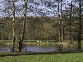 See im das Deutsche Münsterland foto