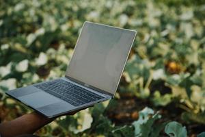 asiatisch Frau und Mann Farmer Arbeiten zusammen im organisch hydroponisch Salat Gemüse Bauernhof. mit Tablette prüfen Qualität von Grüner Salat im Gewächshaus Garten. Clever Landwirtschaft foto