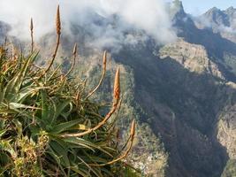 die Insel Madeira foto