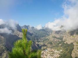 die Insel Madeira foto