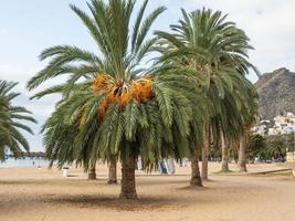 Insel Teneriffa in Spanien foto