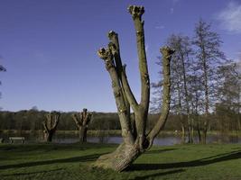 See im das Deutsche Münsterland foto